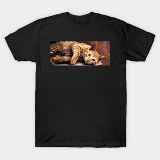 House Cat T-Shirt